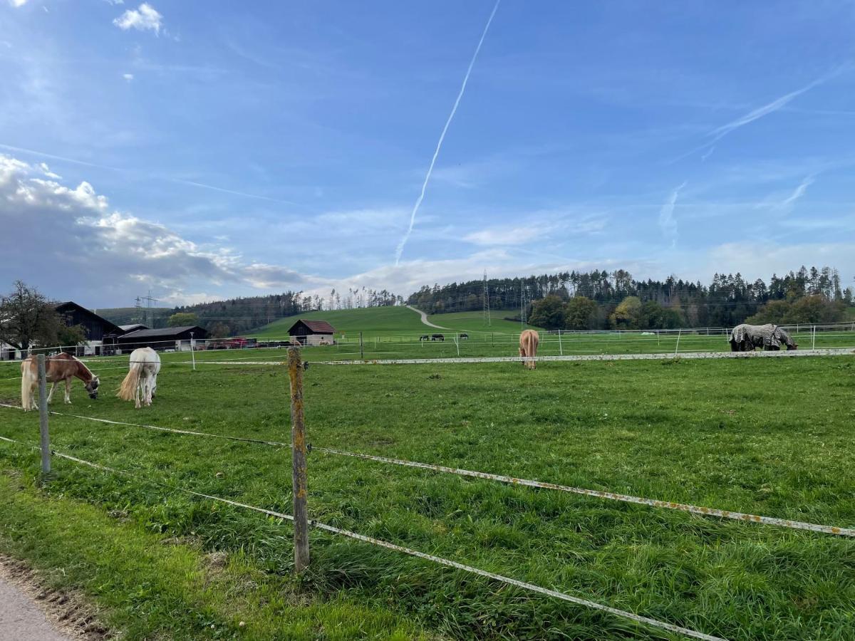 Ferien Im Schwarzwald - Ruhe & Naturverbunden Weilheim Exterior foto