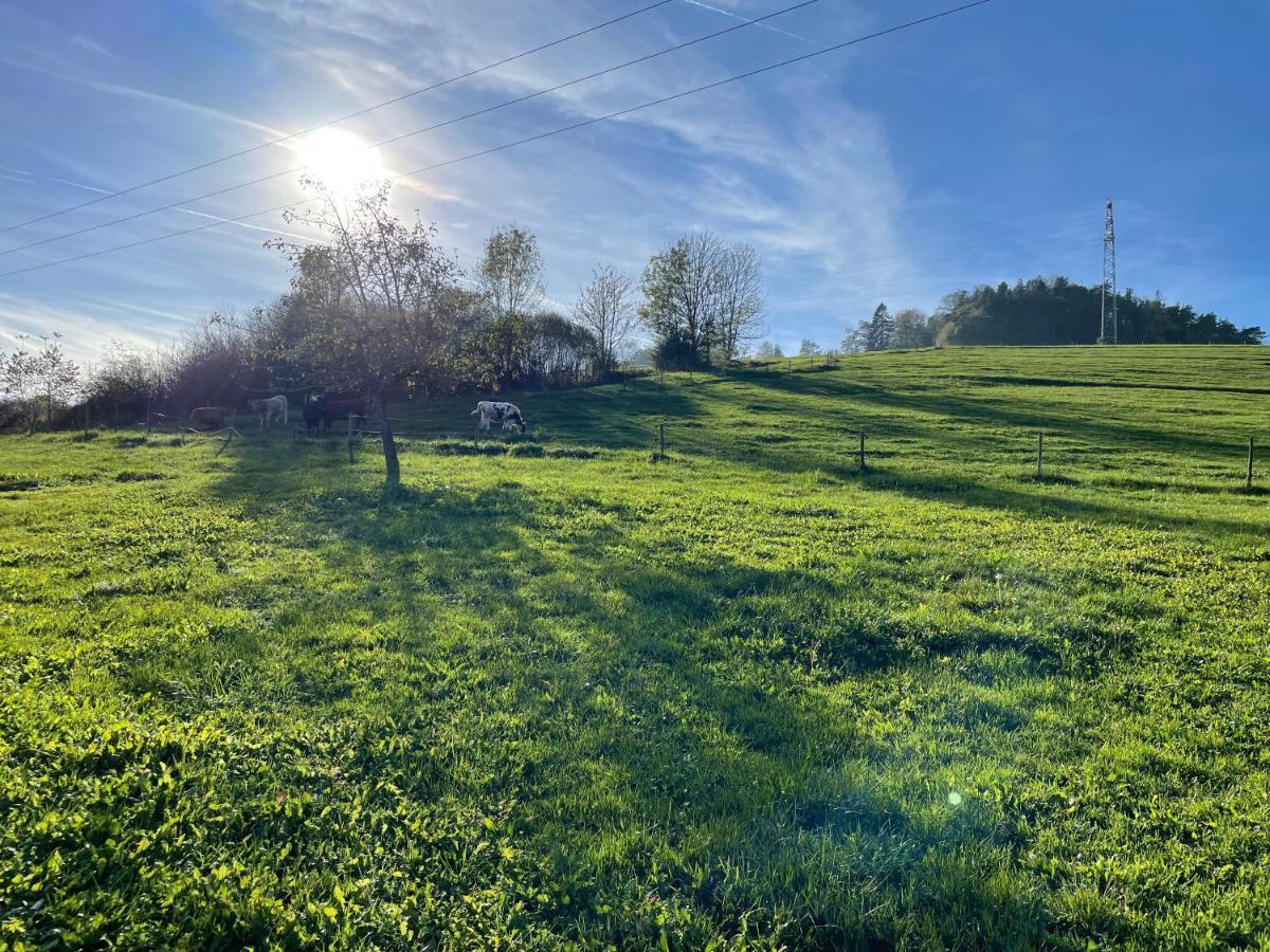 Ferien Im Schwarzwald - Ruhe & Naturverbunden Weilheim Exterior foto