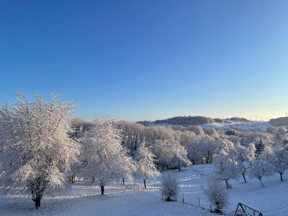 Ferien Im Schwarzwald - Ruhe & Naturverbunden Weilheim Exterior foto