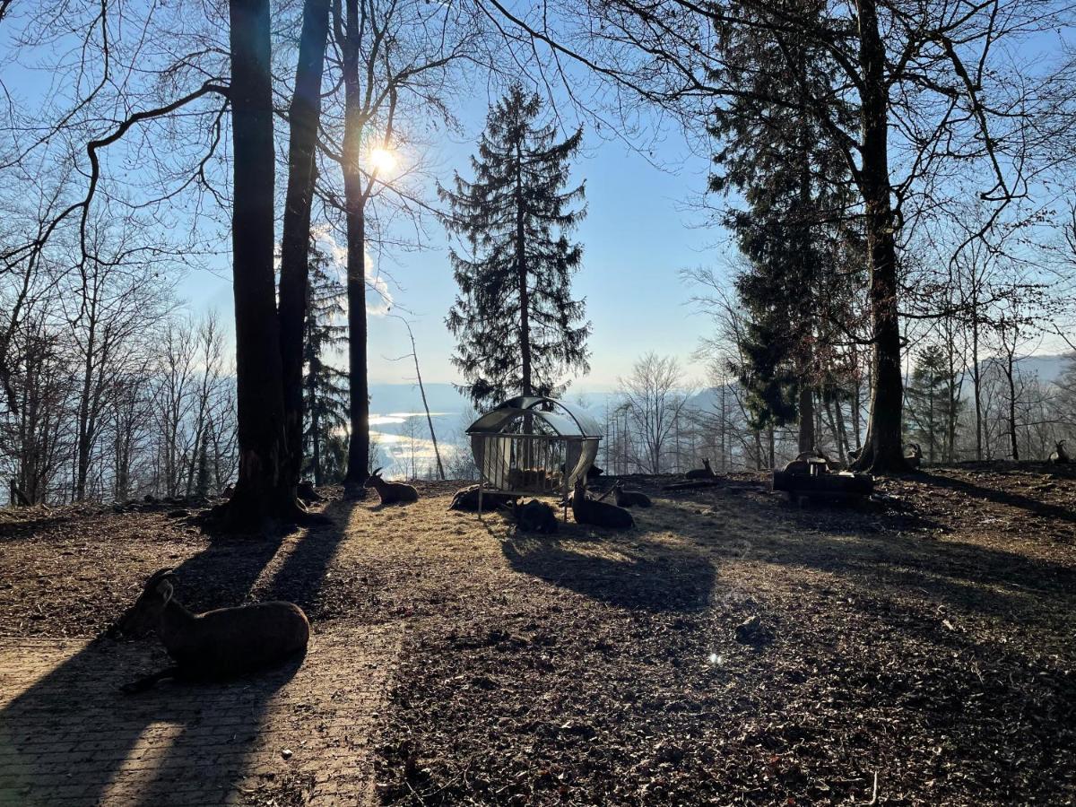 Ferien Im Schwarzwald - Ruhe & Naturverbunden Weilheim Exterior foto
