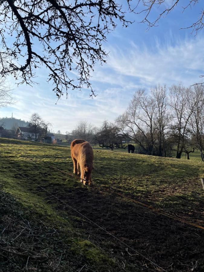 Ferien Im Schwarzwald - Ruhe & Naturverbunden Weilheim Exterior foto